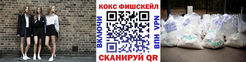 цена наркотик  Новокузнецк  Cocaine Fish Scale 