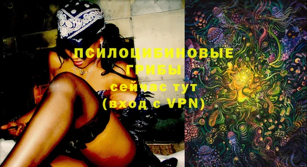 не бодяженный Горняк