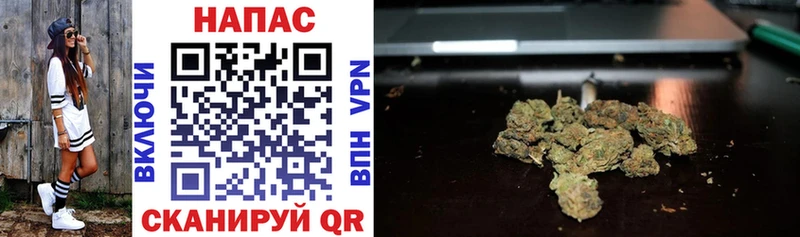 Конопля Bruce Banner  купить закладку  Новокузнецк 